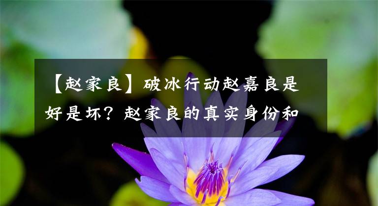 【赵家良】破冰行动赵嘉良是好是坏？赵家良的真实身份和李飞有什么关系？