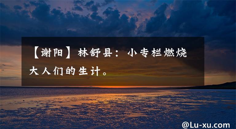 【谢阳】林舒县：小专栏燃烧大人们的生计。
