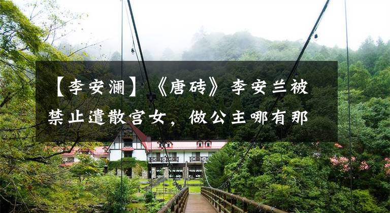 【李安澜】《唐砖》李安兰被禁止遣散宫女，做公主哪有那么容易？