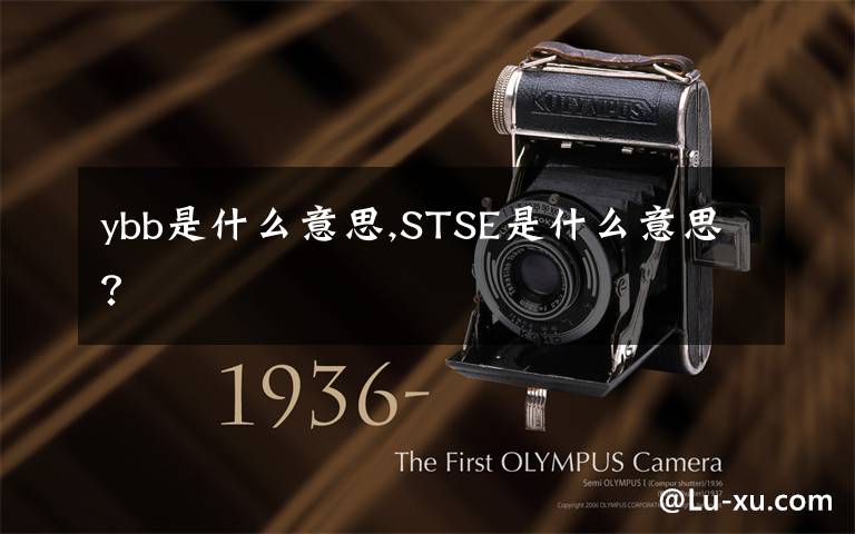 ybb是什么意思,STSE是什么意思？