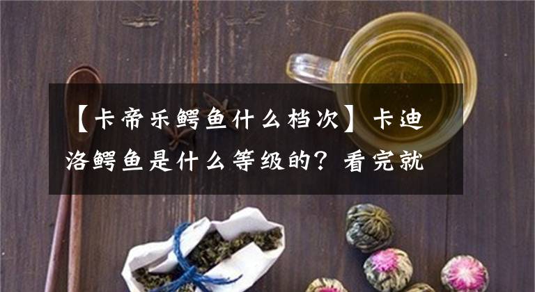 【卡帝乐鳄鱼什么档次】卡迪洛鳄鱼是什么等级的？看完就知道了！