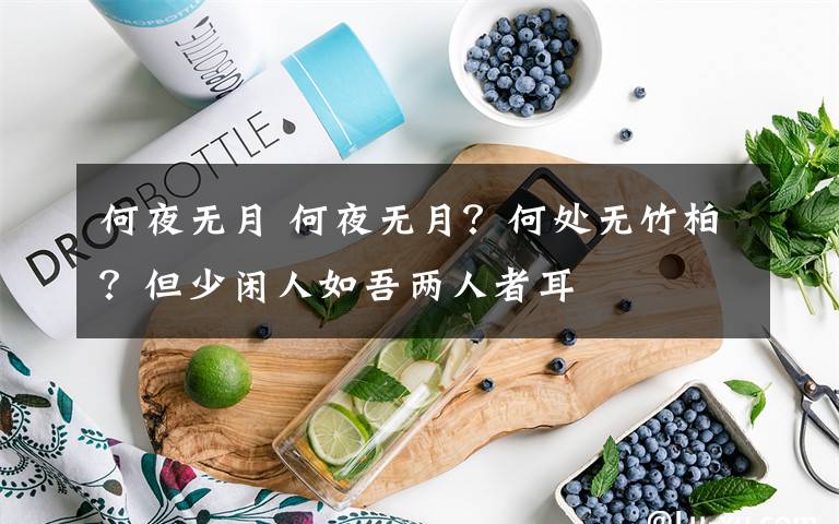 何夜无月 何夜无月？何处无竹柏？但少闲人如吾两人者耳