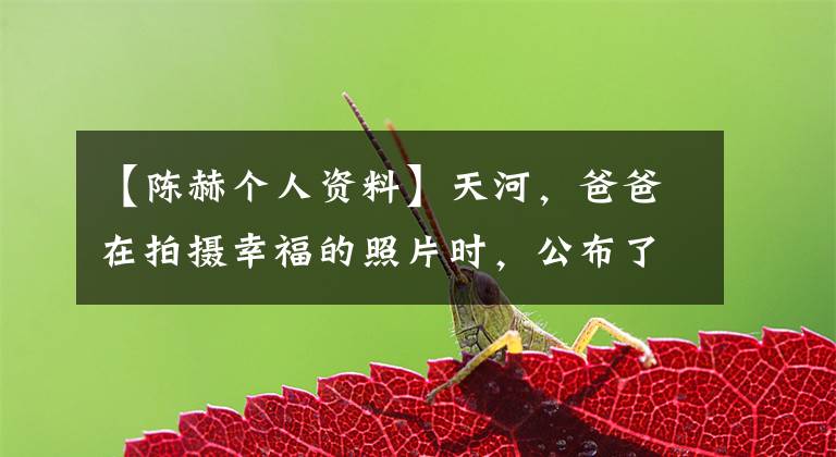 【陈赫个人资料】天河，爸爸在拍摄幸福的照片时，公布了天河家庭背景及离婚真相。