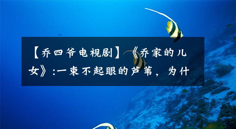 【乔四爷电视剧】《乔家的儿女》:一束不起眼的芦苇，为什么那么华丽？