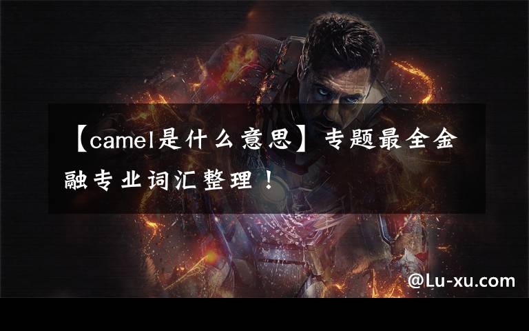 【camel是什么意思】专题最全金融专业词汇整理！