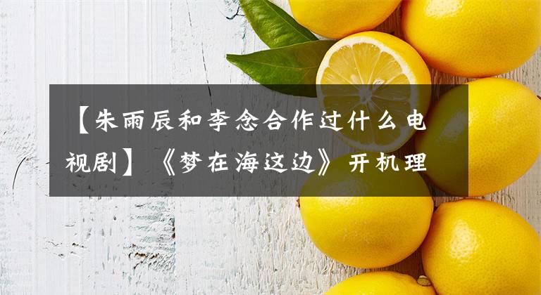 【朱雨辰和李念合作过什么电视剧】《梦在海这边》开机理念化身“学霸”开始了梦想之旅