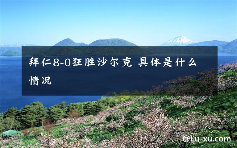 拜仁8-0狂胜沙尔克 具体是什么情况