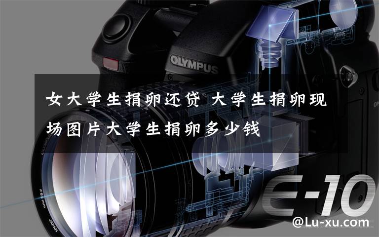 女大学生捐卵还贷 大学生捐卵现场图片大学生捐卵多少钱