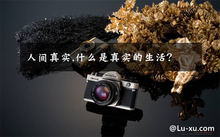 人间真实,什么是真实的生活？