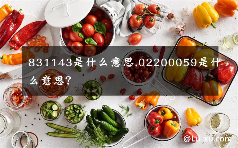 831143是什么意思,02200059是什么意思？