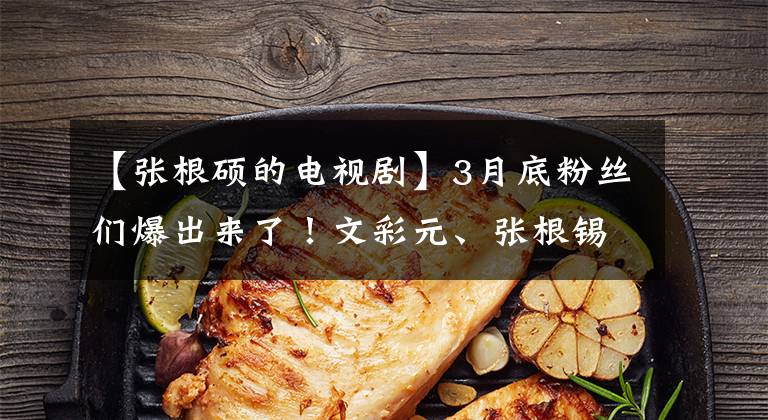 【张根硕的电视剧】3月底粉丝们爆出来了！文彩元、张根锡、姜素拉、女神回来了！