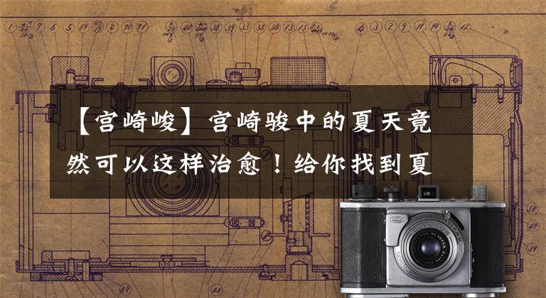 【宫崎峻】宫崎骏中的夏天竟然可以这样治愈！给你找到夏天的味道