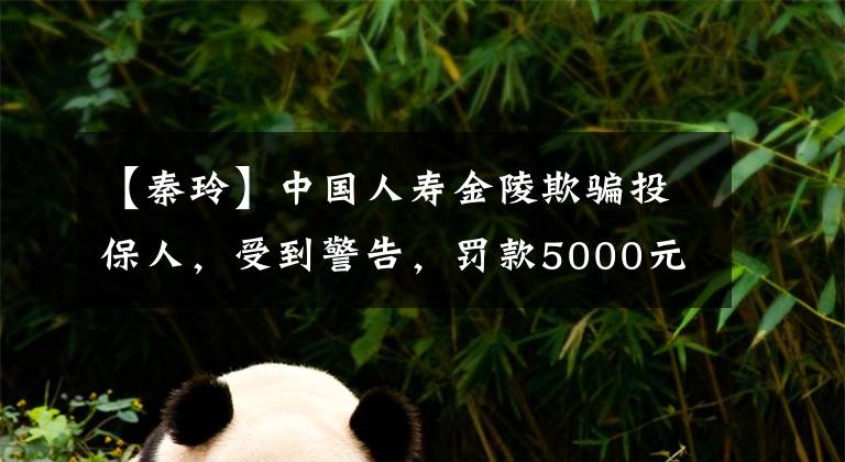 【秦玲】中国人寿金陵欺骗投保人，受到警告，罚款5000元。