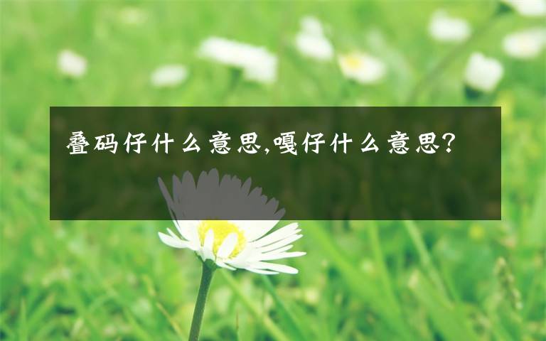 叠码仔什么意思,嘎仔什么意思？