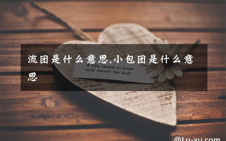 流团是什么意思,小包团是什么意思
