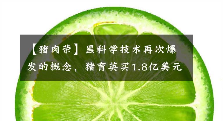 【猪肉荣】黑科学技术再次爆发的概念，猪育英买1.8亿美元买网拯救旧篇章|揭露柚子。