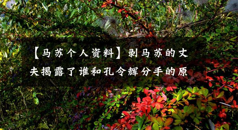 【马苏个人资料】剥马苏的丈夫揭露了谁和孔令辉分手的原因？