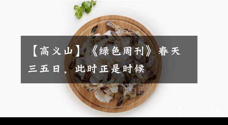 【高义山】《绿色周刊》春天三五日，此时正是时候