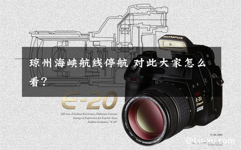 琼州海峡航线停航 对此大家怎么看？