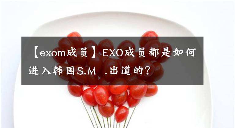 【exom成员】EXO成员都是如何进入韩国S.M  .出道的？