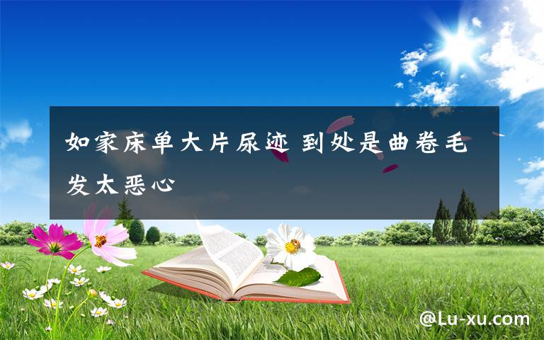 如家床单大片尿迹 到处是曲卷毛发太恶心