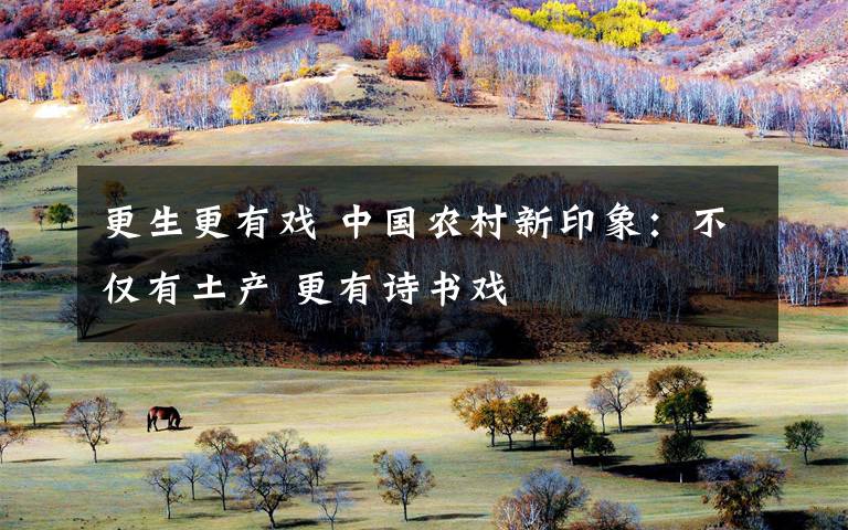更生更有戏 中国农村新印象：不仅有土产 更有诗书戏