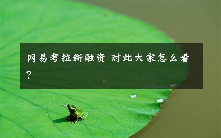 网易考拉新融资 对此大家怎么看？