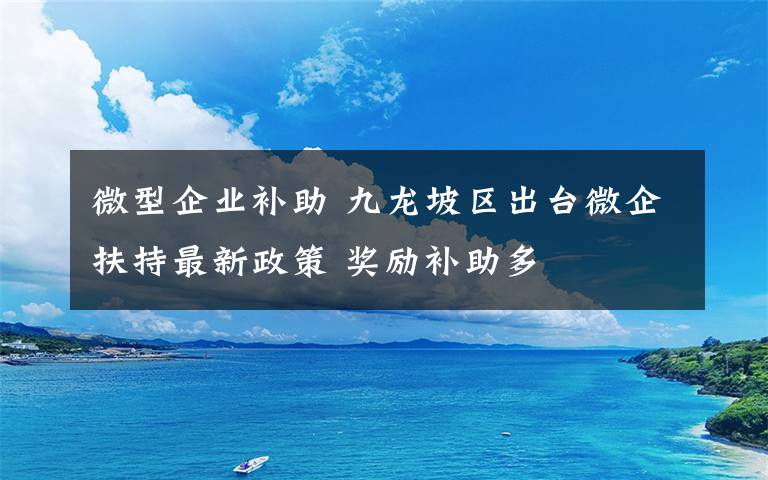 微型企业补助 九龙坡区出台微企扶持最新政策 奖励补助多