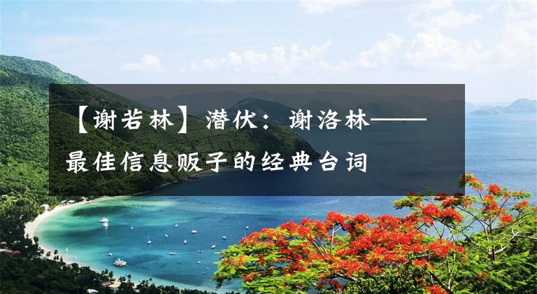 【谢若林】潜伏：谢洛林——最佳信息贩子的经典台词