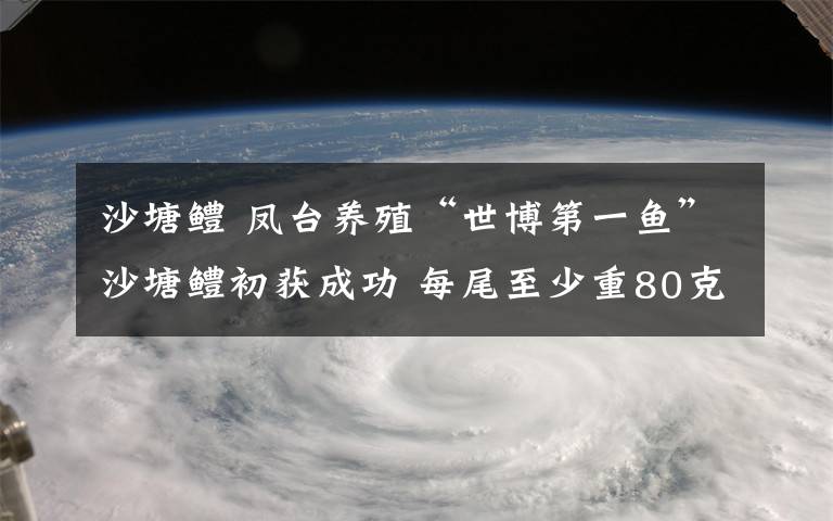沙塘鳢 凤台养殖“世博第一鱼”沙塘鳢初获成功 每尾至少重80克