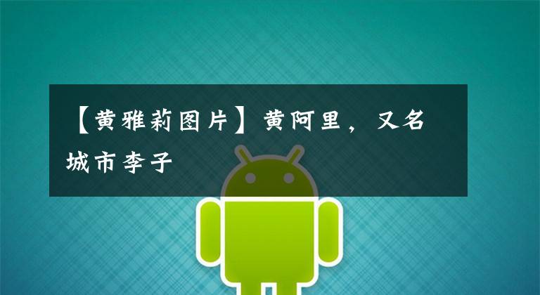 【黄雅莉图片】黄阿里，又名城市李子