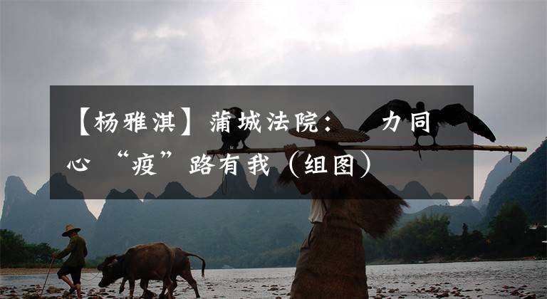 【杨雅淇】蒲城法院：勠力同心 “疫”路有我（组图）