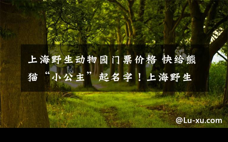 上海野生动物园门票价格 快给熊猫“小公主”起名字！上海野生动物园还有门票和玩偶送