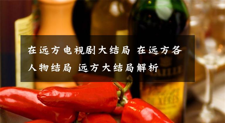 在远方电视剧大结局 在远方各人物结局 远方大结局解析