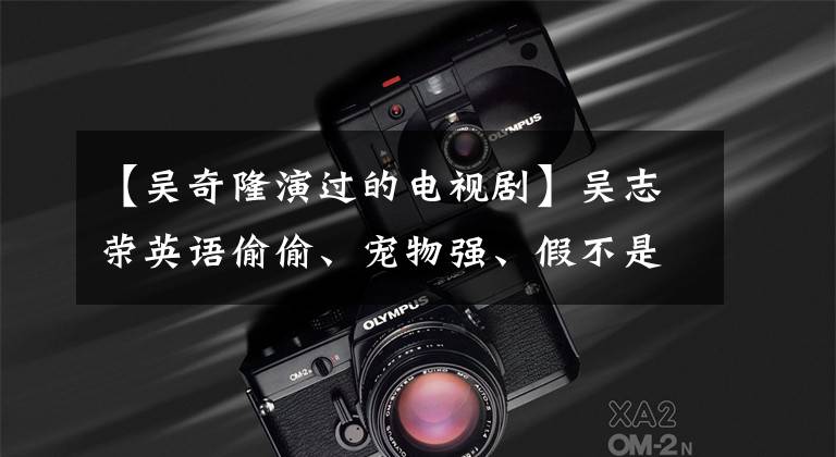 【吴奇隆演过的电视剧】吴志荣英语偷偷、宠物强、假不是假的吗？