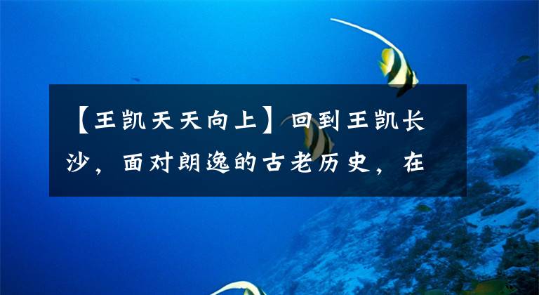 【王凯天天向上】回到王凯长沙，面对朗逸的古老历史，在母亲的督促下，又诞生了。
