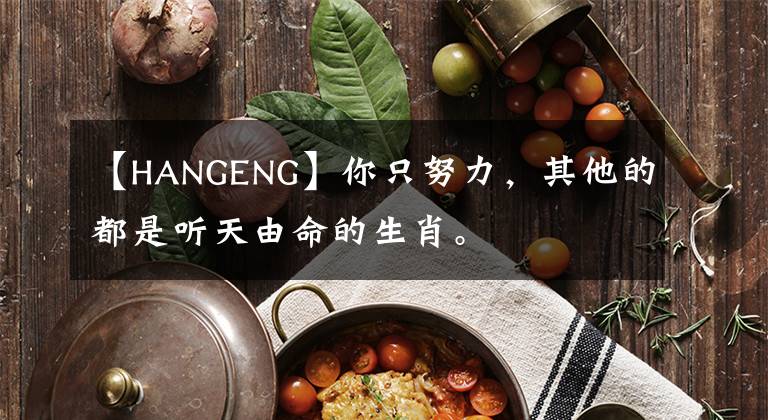 【HANGENG】你只努力，其他的都是听天由命的生肖。