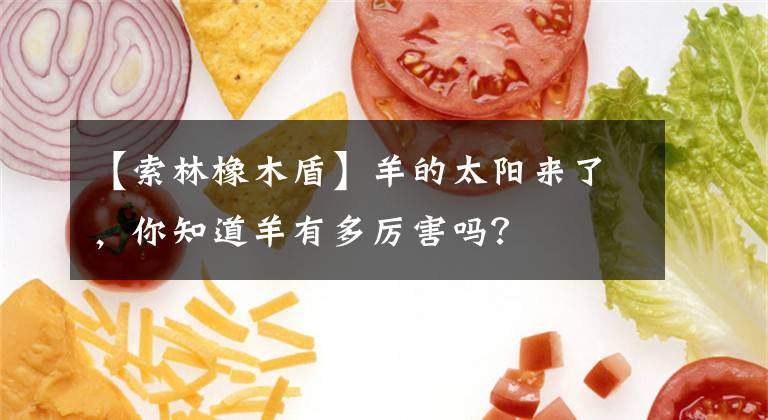【索林橡木盾】羊的太阳来了，你知道羊有多厉害吗？