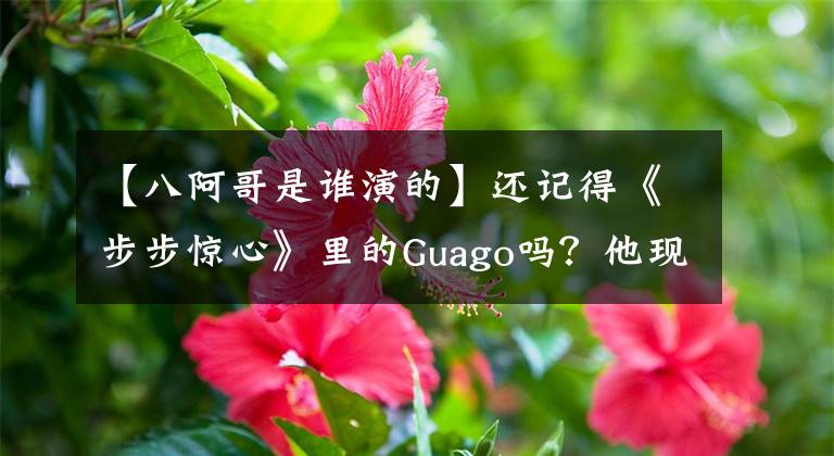 【八阿哥是谁演的】还记得《步步惊心》里的Guago吗？他现在长这样了