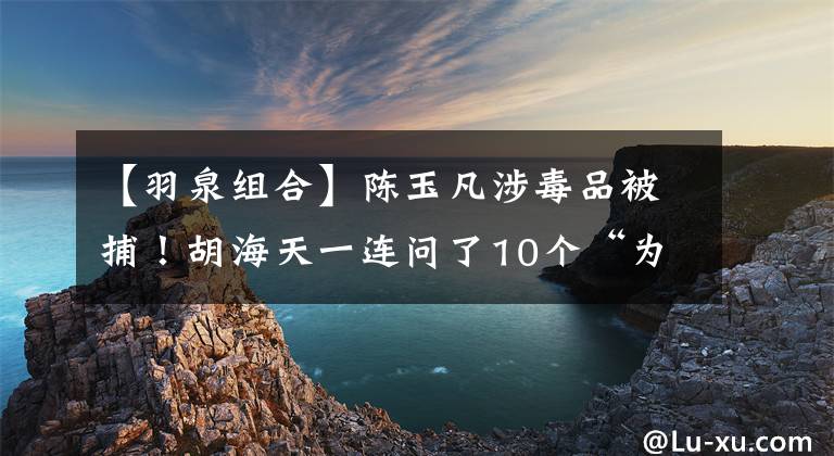 【羽泉组合】陈玉凡涉毒品被捕！胡海天一连问了10个“为什么”