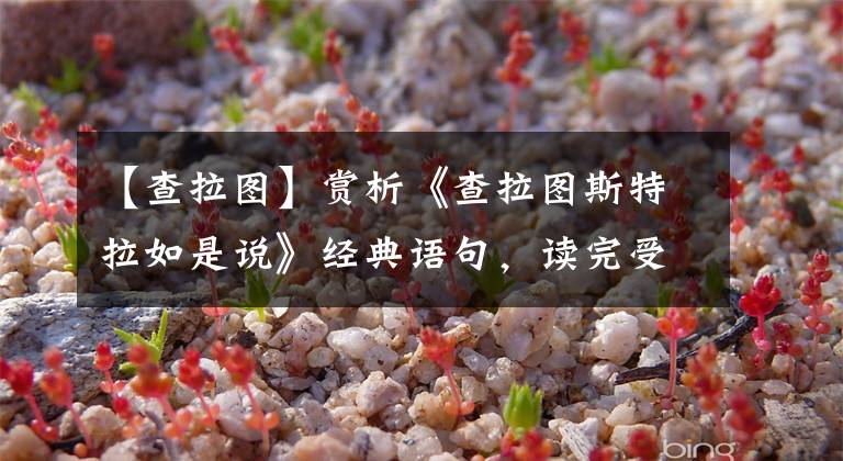 【查拉图】赏析《查拉图斯特拉如是说》经典语句，读完受益一生