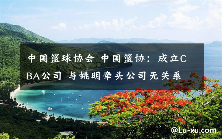 中国篮球协会 中国篮协：成立CBA公司 与姚明牵头公司无关系