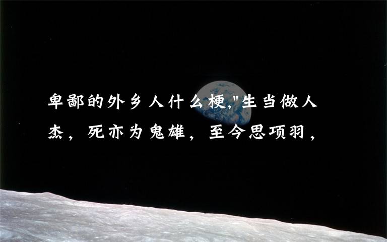 卑鄙的外乡人什么梗,