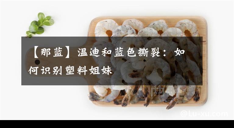 【那蓝】温迪和蓝色撕裂：如何识别塑料姐妹