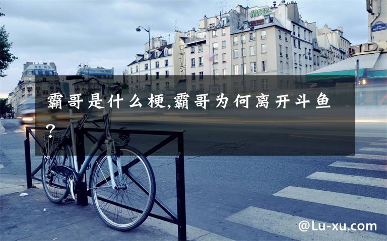 霸哥是什么梗,霸哥为何离开斗鱼？