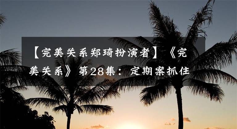 【完美关系郑琦扮演者】《完美关系》第28集：定期案抓住弱点后需要反转吗？斯特拉为了DL放弃了同热虐待。