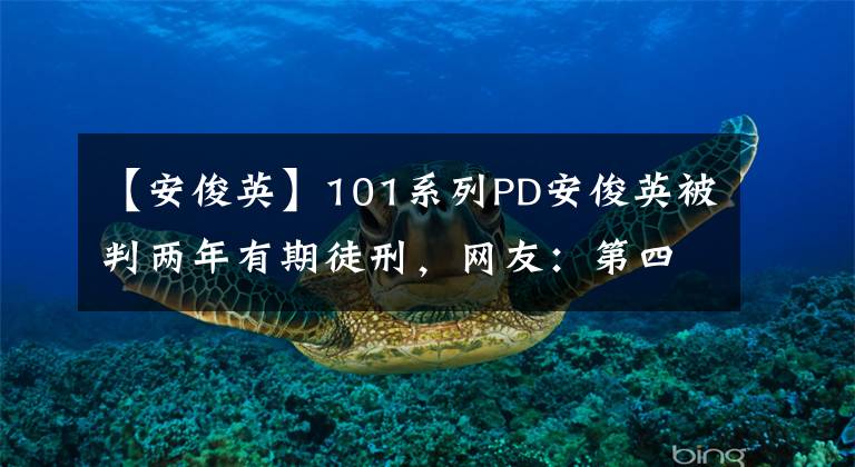 【安俊英】101系列PD安俊英被判两年有期徒刑，网友：第四季弟弟们太惨了。