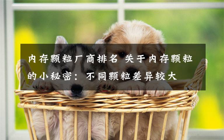 内存颗粒厂商排名 关于内存颗粒的小秘密：不同颗粒差异较大