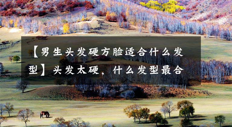 【男生头发硬方脸适合什么发型】头发太硬，什么发型最合适？