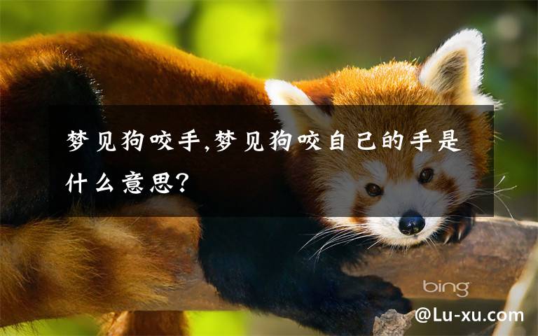 梦见狗咬手,梦见狗咬自己的手是什么意思？